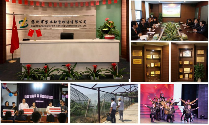 7fd5da035b8c1cefac27be03f51cbe05 内容图片.jpg