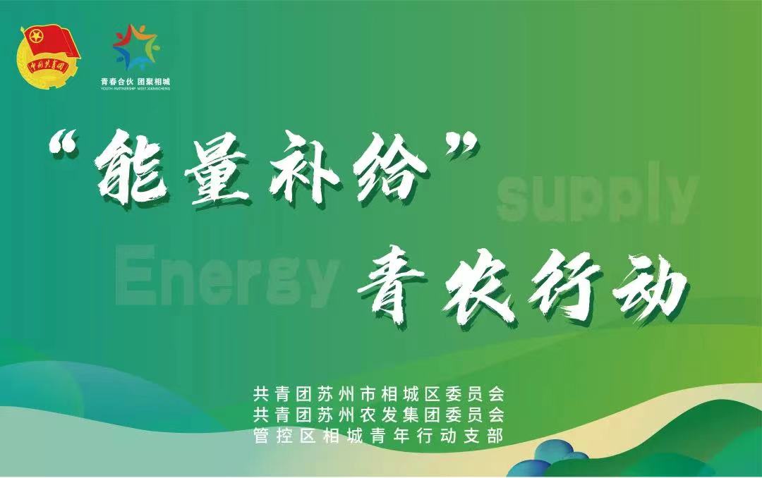 6e394b9edd0cea74cbda603097c73fdd 封面.jpg
