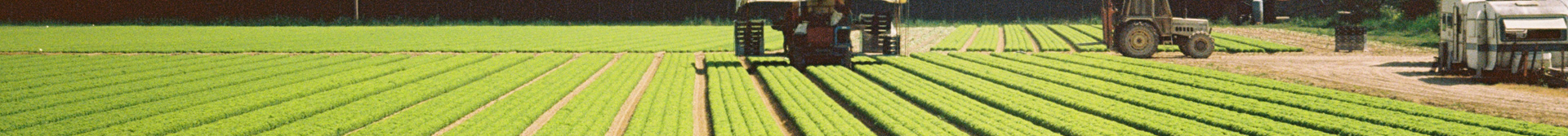 banner-jyfz